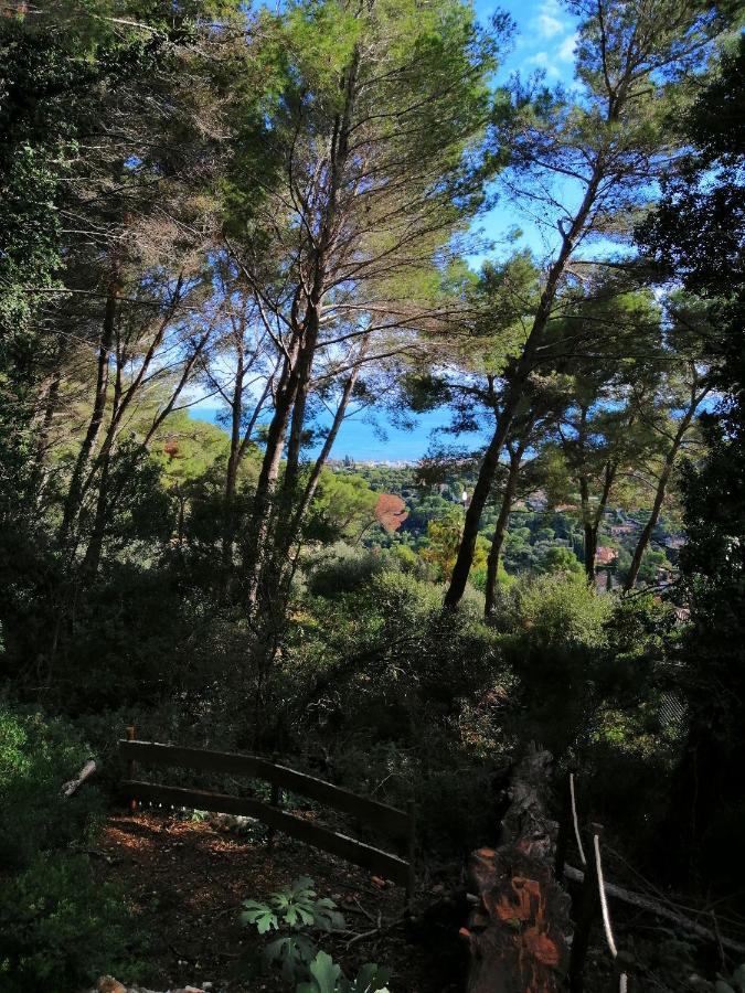 Cabane Azur Mountain Vallauris Luaran gambar